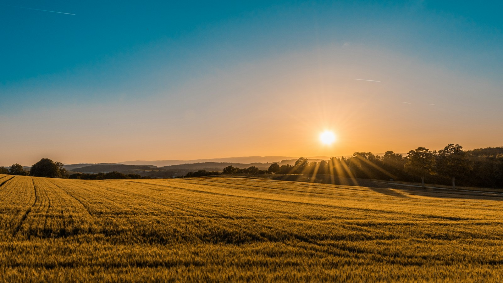 Open land parcel at sunset, representing development-oriented land opportunities